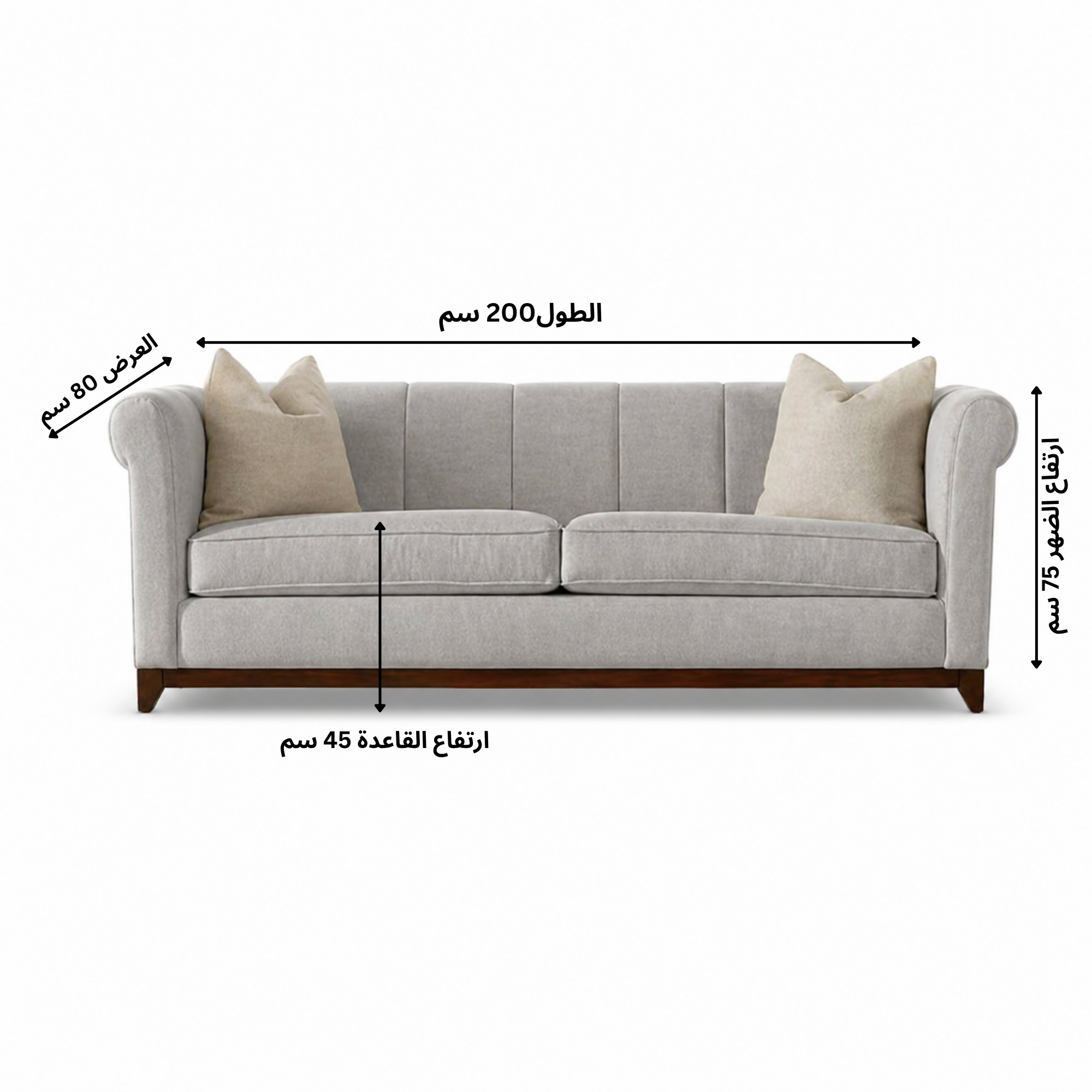 Modern 2025 Beige Sofa – sz403