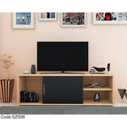 Modern Wooden TV Table with Door